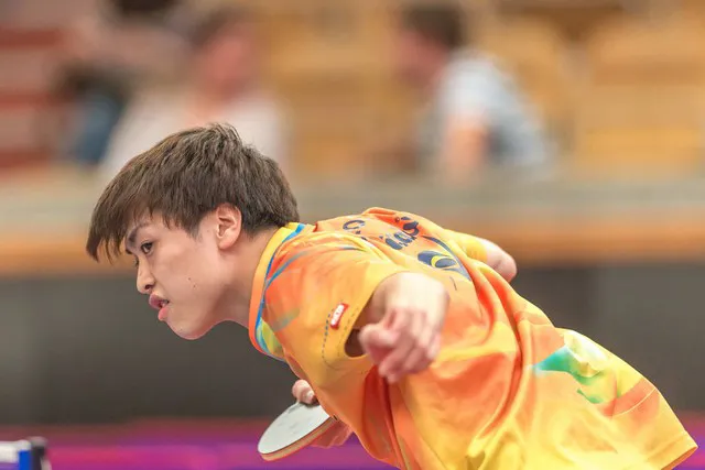 重要助攻首场状态出色，FPX观众沸腾！，蒂姆重返赛场引发球迷热议的简单介绍-KAIYUN SPORTS